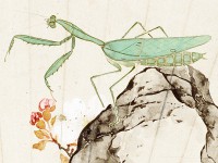 Unfolding Nature: Images of Summer on Chinese and Japanese Fans