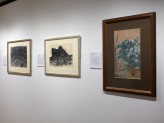 Eastern Art Paintings Gallery - Bengal and Modernity exhibition, east wall 2. &copy; Ashmolean Museum, University of Oxford