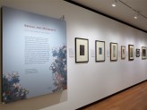 Eastern Art Paintings Gallery - Bengal and Modernity exhibition, panel and east wall. &copy; Ashmolean Museum, University of Oxford