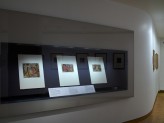 Eastern Art Paintings Gallery -  Indian Paintings from the Simon Digby Collection exhibition case. &copy; Ashmolean Museum, University of Oxford