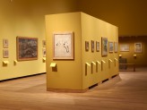Special Exhibitions Gallery 4 - Visions of Mughal India exhibition. &copy; Ashmolean Museum, University of Oxford
