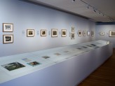 Special Exhibitions Gallery 1 - Xu Bing Landscape Landscript exhibition. &copy; Ashmolean Museum, University of Oxford