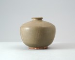 Greenware jar (LI1301.371)