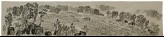 Landscript 1 (LI2007.71)