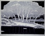 The Silver Look of Trees (LI2022.10)