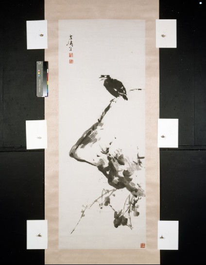 Bird on a rockfront, painting only
