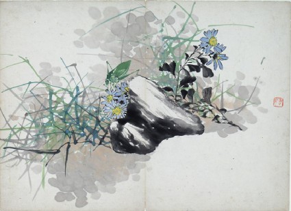 Blue and yellow flowers behind a rockfront
