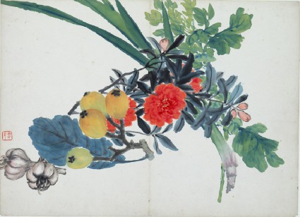 Orange flowers, loquats, and garlicfront