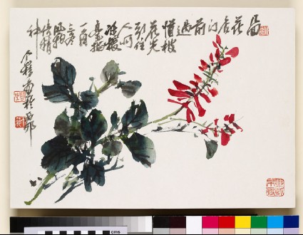 Red flowersfront