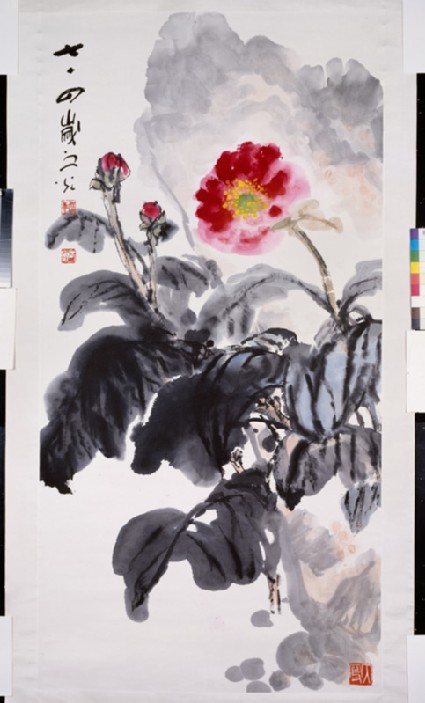 Peonyfront
