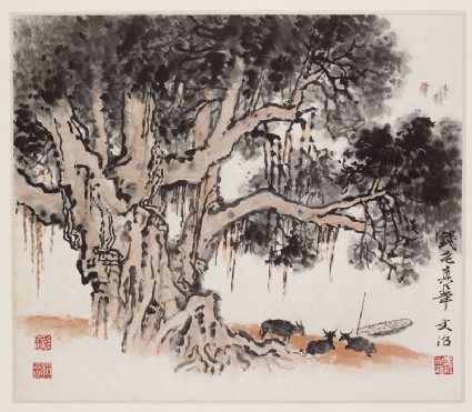Oxen beneath a treefront