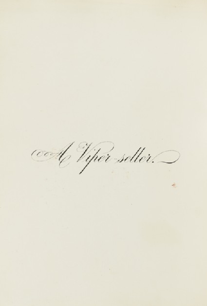 A Viper-Sellerfront