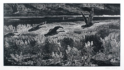 The Sleepless Landfront