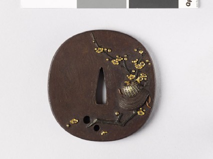 Tsuba depicting a warrior's helmet and plum branchfront