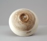 Cizhou ware bowl with peony decoration (oblique)